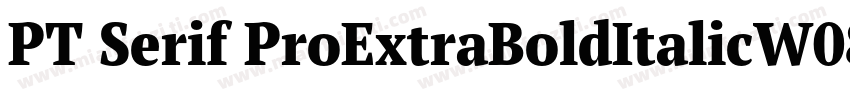 PT Serif ProExtraBoldItalicW08字体转换